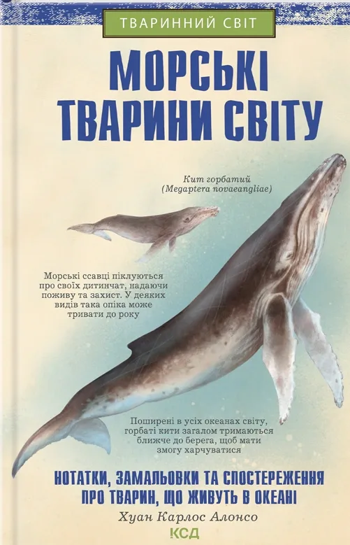 Морські тварини світу