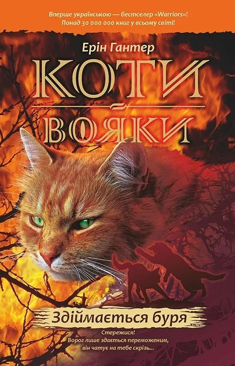 Коти-вояки. Пророцтва починаються. Книга 4. Здіймається буря
