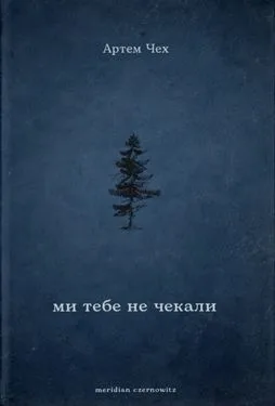 Ми тебе не чекали