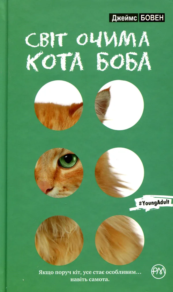 Світ очима кота Боба